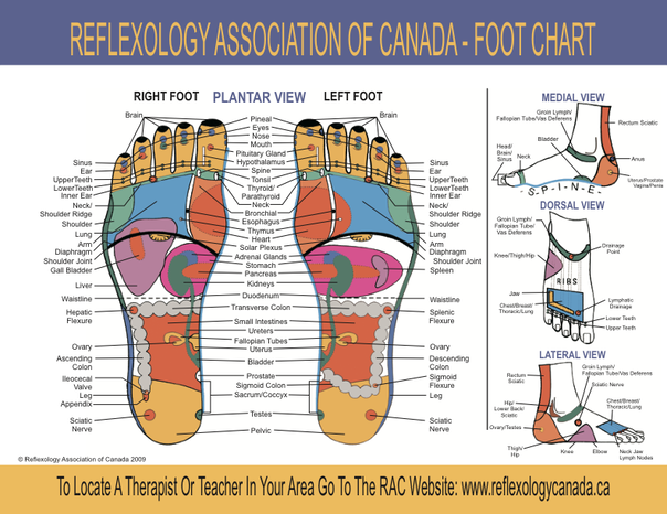 rac-chart